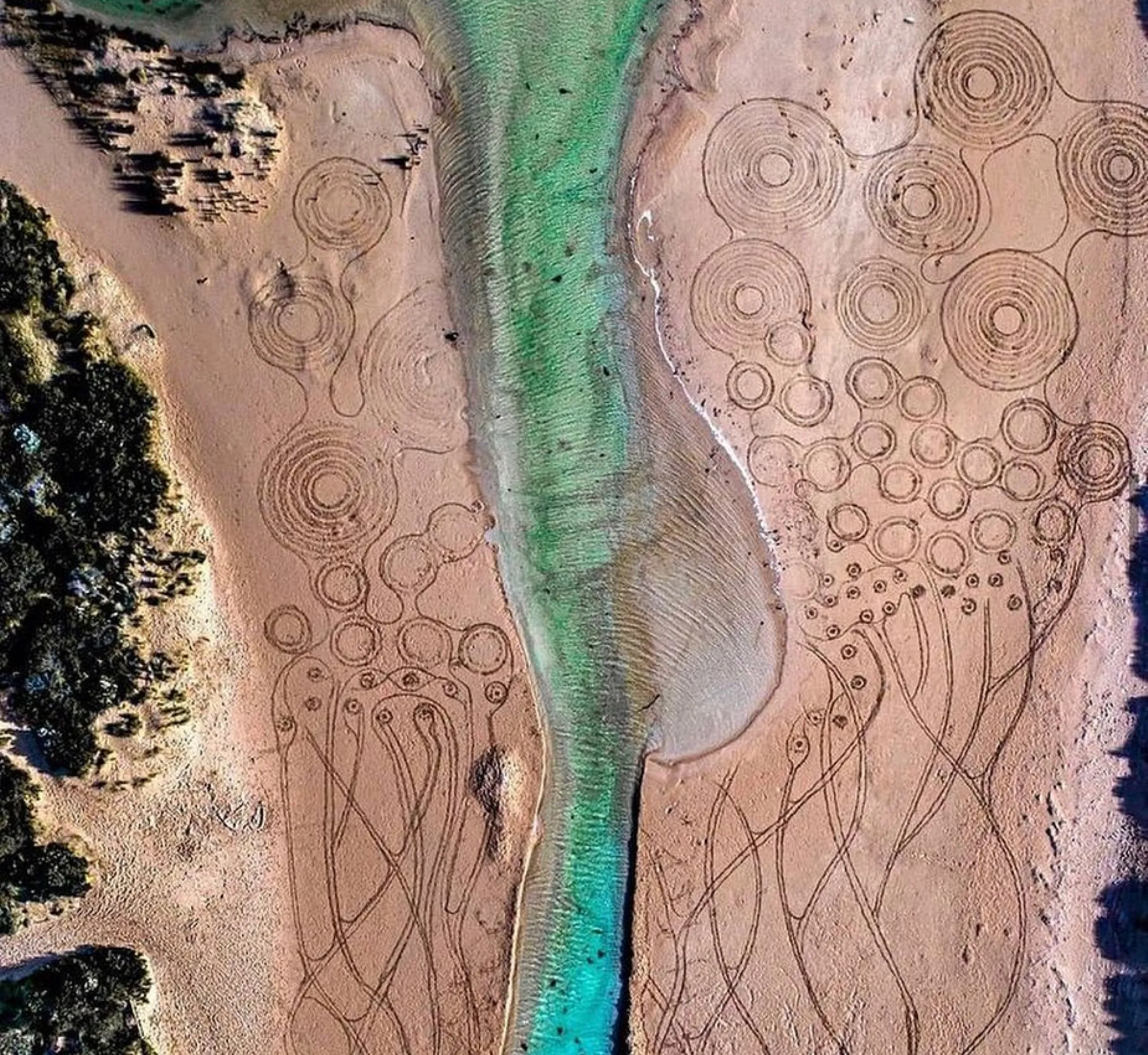 natural environment